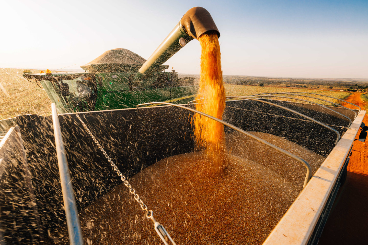 Machine dumping corn into truck